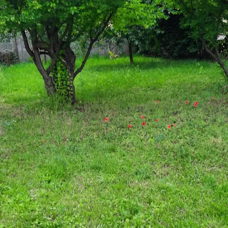 Hideaway House With Garden & Freeparking 布达佩斯
